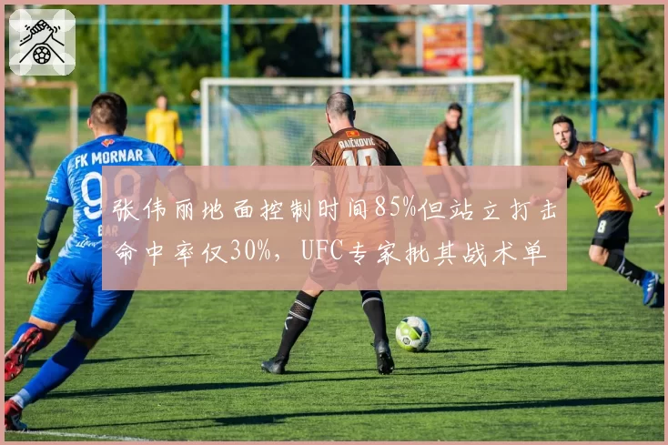 张伟丽地面控制时间85%但站立打击命中率仅30%，UFC专家批其战术单一