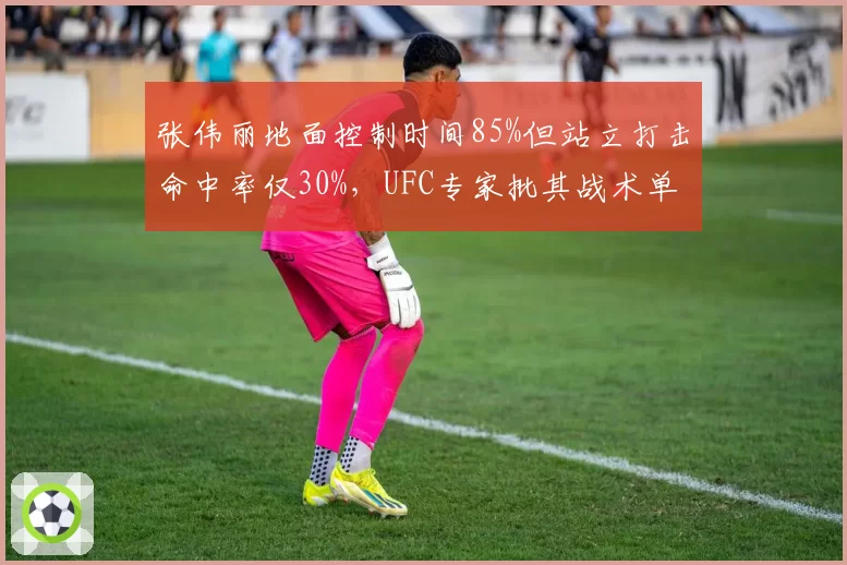 张伟丽地面控制时间85%但站立打击命中率仅30%，UFC专家批其战术单一